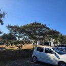 대성목장2 이미지