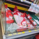 기동반-80 이미지