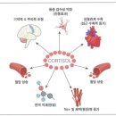 연춘당한의원 이미지