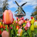 화성센트럴파크 도서관 이미지