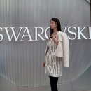 스와로브스키 도산파크 플래그십 카페 홀리데이라떼 후기 도산공원 핫플 실내 데이트 장소 추천...