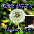 민들레 홀씨되어(박미경) 이미지