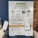 베니시모용인 이미지