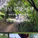 애견동반 밀양테마수영장