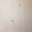 디디스포츠