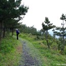 (주)삼영관광 일출랜드 이미지