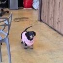 네일해,봄 | 인천 용현동 네일해봄 이달의아트 대만족 후기 (동시시술 가능)