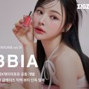 지그재그 이미지