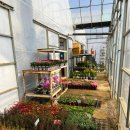 삼미농원 이미지