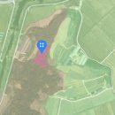 금과면사무소 이미지