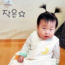 작은별어린이집 이미지