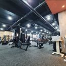 케렌시아 피트니스 이미지