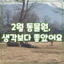 꽃들에나라어린이집 | 과천 서울대공원 겨울 방문 후기:코끼리 실내 관람 + 다자녀 무료입장 정보