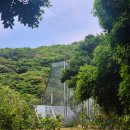 신지면-2 | 완도&amp;해남 1박2일 여행코스 모노레일·완도수목원 그리고 반값여행 후기