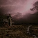 청라호수동물메디컬센터 이미지