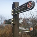 요기내 이미지