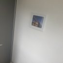 동남바이오 이미지