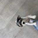 개스트하우스 청주점 이미지