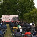 석성동헌 탱자나무 이미지