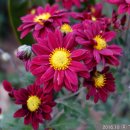 종만농장 이미지