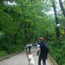 계룡산등산로(절) 이미지