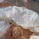 장락농장 이미지