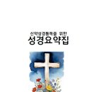 신약성경통독을 위한 성경요약집(25일 성경통독자료) 이미지