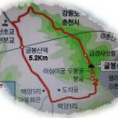 오숙헤어 Daum카페