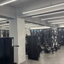 그로우피티 이미지