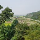 용교 농장 네이버블로그