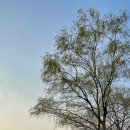 장대공원 이미지