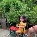 산수정산장 | 순천현지인맛집 ㅡ [산수정]