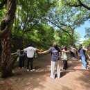 안동의료원 이미지