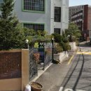 청두곶길 10 Daum카페