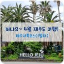 여행/금능(릉)해수욕장/신창리 풍차마을/늘조은명품흑돼지/차귀도 요트체험/블루오션/수월봉 지질트레일...