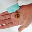 주식회사 매직케어 | 비건 닥터오레고닌 탁시폴린 두피트리트먼트 솔직 후기 – 손상·곱슬모 두피관리