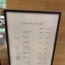 [롯데호텔서울 라세느] 결혼1주년 기념 소공동 라세느 후기(평일 디너)