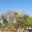 남원 관왕묘 이미지