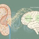 귀건강이혈테라피 이미지