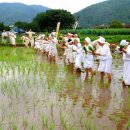 고성농요 정기공연 이미지