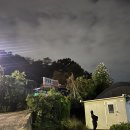 내손동 계원대맛집 원조일출보리밥 1n년차 단골식당 내돈내산 후기
