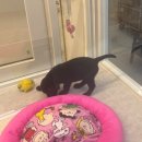 2023-0014 | 2025년 9월 오사카 직장인 일상