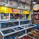 온누리 펜션 | 동경주 여행 감포공설시장 대길회센터 온누리 상생페이 회 포장 후기