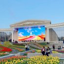 라라 퍼스널트레이닝 | 용인 에버랜드 오후권 튤립축제 퍼레이드 불꽃놀이 꿀팁