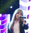 레몬케이스