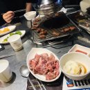 서래갈매기 이미지