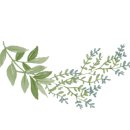 피자쿠치나 부천도당장미공원점 이미지