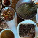 메주꽃이랑 | 파주 백반 맛집 메주꽃