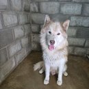 임피면 주민센터 이미지