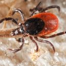 샵()인형뽑기 이미지